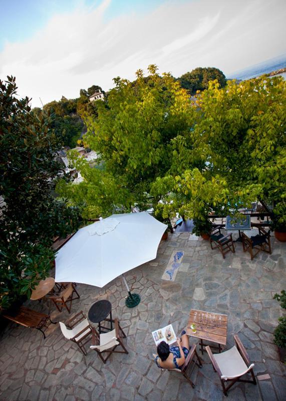 Victoria'S Guesthouse 다무하리 외부 사진
