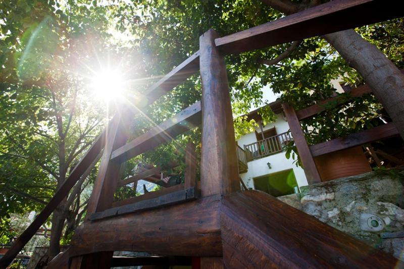 Victoria'S Guesthouse 다무하리 외부 사진