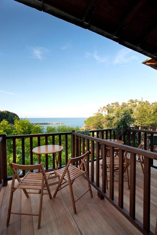 Victoria'S Guesthouse 다무하리 외부 사진